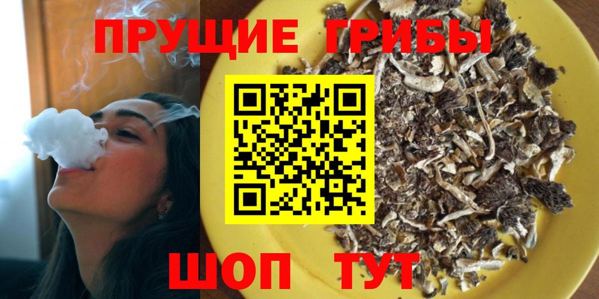 Псилоцибиновые грибы GOLDEN TEACHER  Псилоцибиновые грибы Psilocybe  наркошоп  Вход с VPN  Глазов 